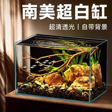 玻璃鱼缸超白小型客厅裸缸造景原生溪流缸南美乌龟缸桌面生态缸