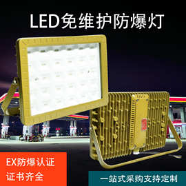 96款led防爆灯工厂应急照明灯加油站投光灯仓库泛光灯 防爆灯具