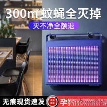 ���ß�������������ЋD���׃�2025�¿��҃ȷ���늓�������ω�T��