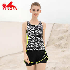 英发Yingfa 2024年豹纹背心平角短裤两件套 专业运动分体女士泳衣