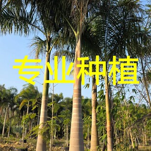 �������ݴ���Ҭ�ӻ��� �����е��ؙ��� ���̾G����ľ������
