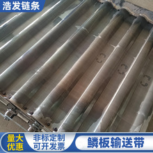 碳钢鳞板矿石煤炭输送带工业流水线金属木材加厚重型输送链板磷板