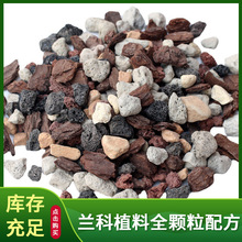 厂家山里兰石石斛树皮种植兰花土颗粒蝴蝶兰植料植金石君子兰植物