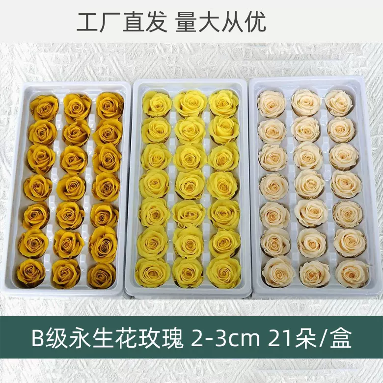 云南永生花B+玫瑰2-3cm21朵装保鲜花真花七夕情人节礼物DIY花材