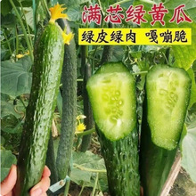 �߮a��Ʒ�N�G���S�ϷN�ӷN����ˮ�����߲��Ϻ����Ӳ˷N�ѷN��ȫ