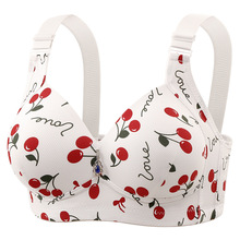 2026�¿�羳��a����ӡ���o�Ȧ���ؾ۔n���´������Ըб������