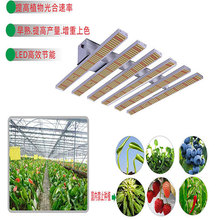 �S��ֱ��LED���ʰ�צ�~ֲ�����L��0-10V�{�����ֲ���a���