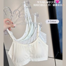 017#ŮlڶAСbra̶Ī͸羳