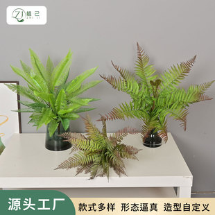 ����ާ�~��˹ާ�F��ާ�~�҃ȼҾ��bGֲֲ��̈��廨�쾰ާ��