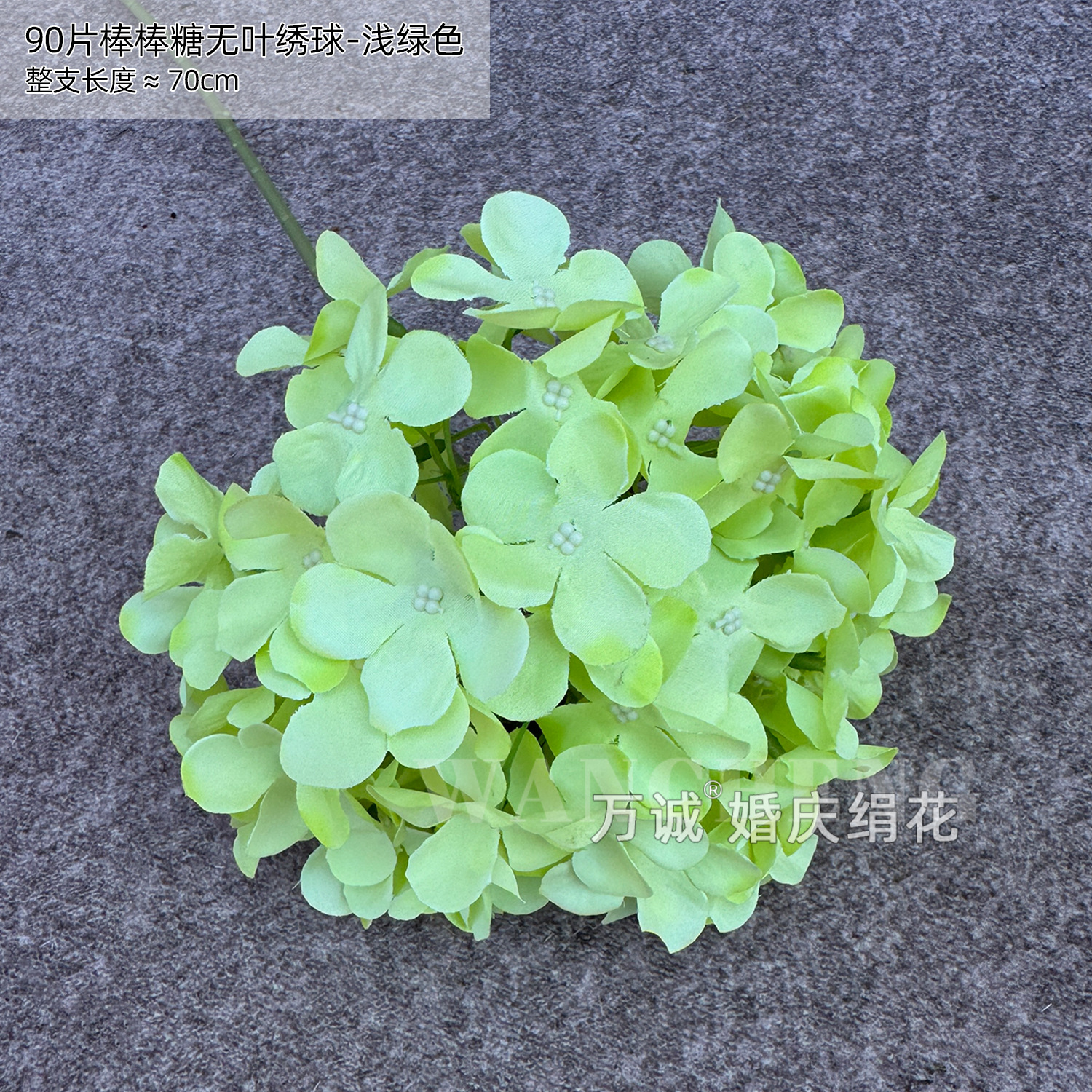 라이트 그린 90 롤리팝 수국 (잎 없음)