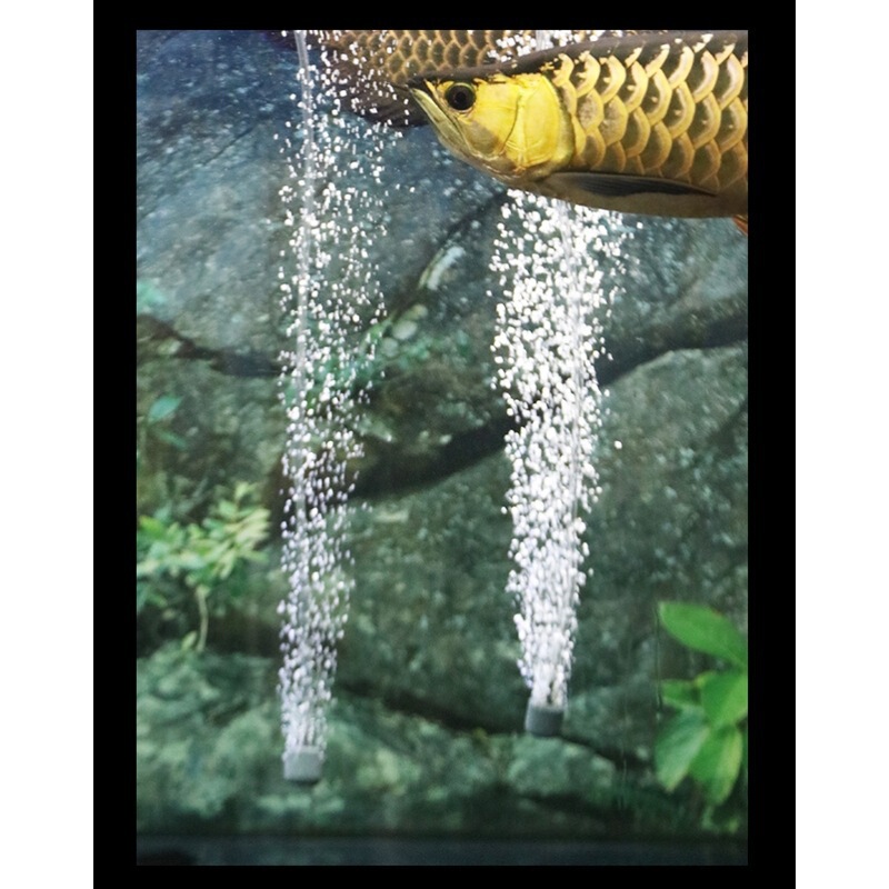鱼缸USB增氧泵家用水族箱氧气泵静音充氧泵钓鱼冲氧泵小型打氧机|undefined