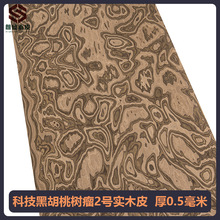 ��ʢ�Ƽ��ں��Ҙ���2̖��ľ��Ƥ�b�޾Ƶ�Ҿ������ֹ��N������