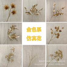 ɫϵз滨 ȼ~ͰlؔͰb^͏d廨[