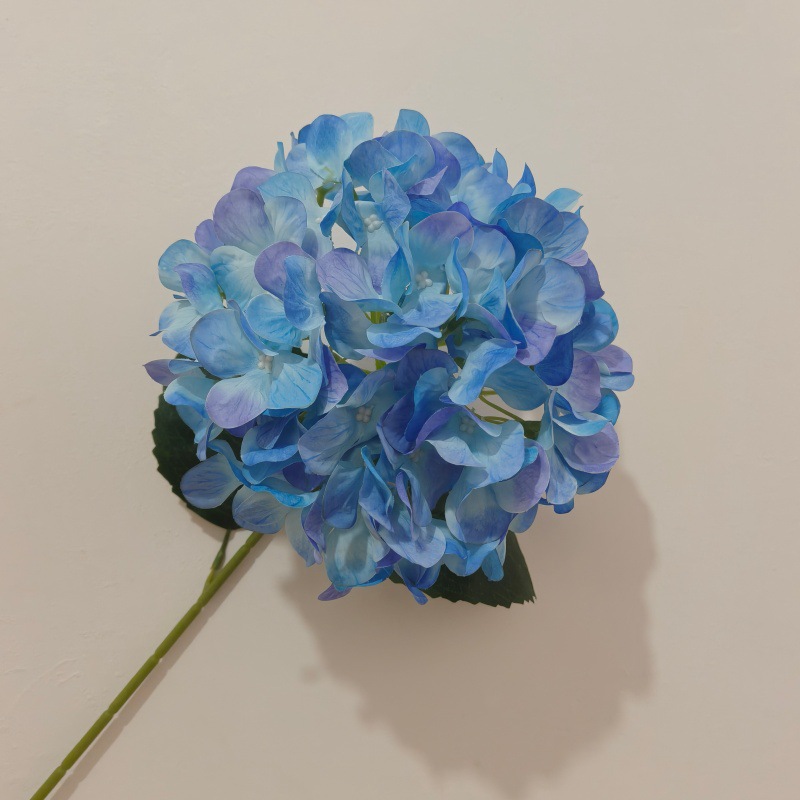 업그레이드된 3D 프린팅 공작새 블루