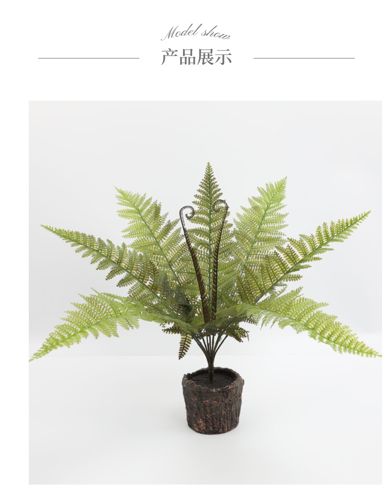 模特展示1 (4).jpg