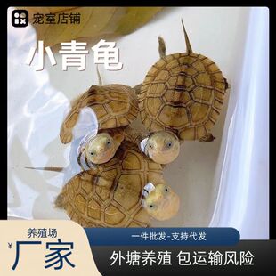 �S��С�������wС�����������Bֳ���l���N�S��Mˮ��ʯ���X���ͼZ