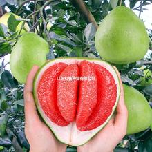 ���Ә���t�ļt�����ּ޽ӹ�������Ϸ������Nֲ����Y�����t����