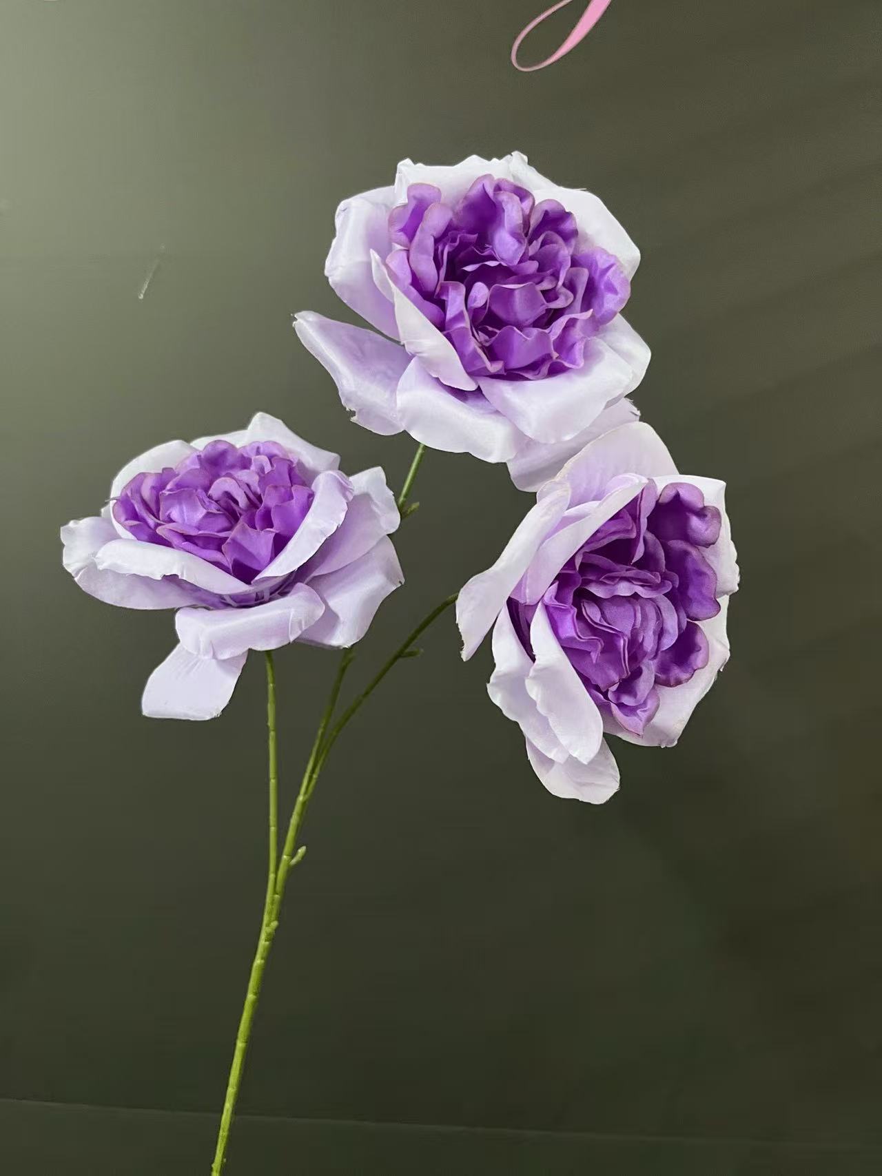 微信图片_20250410103524