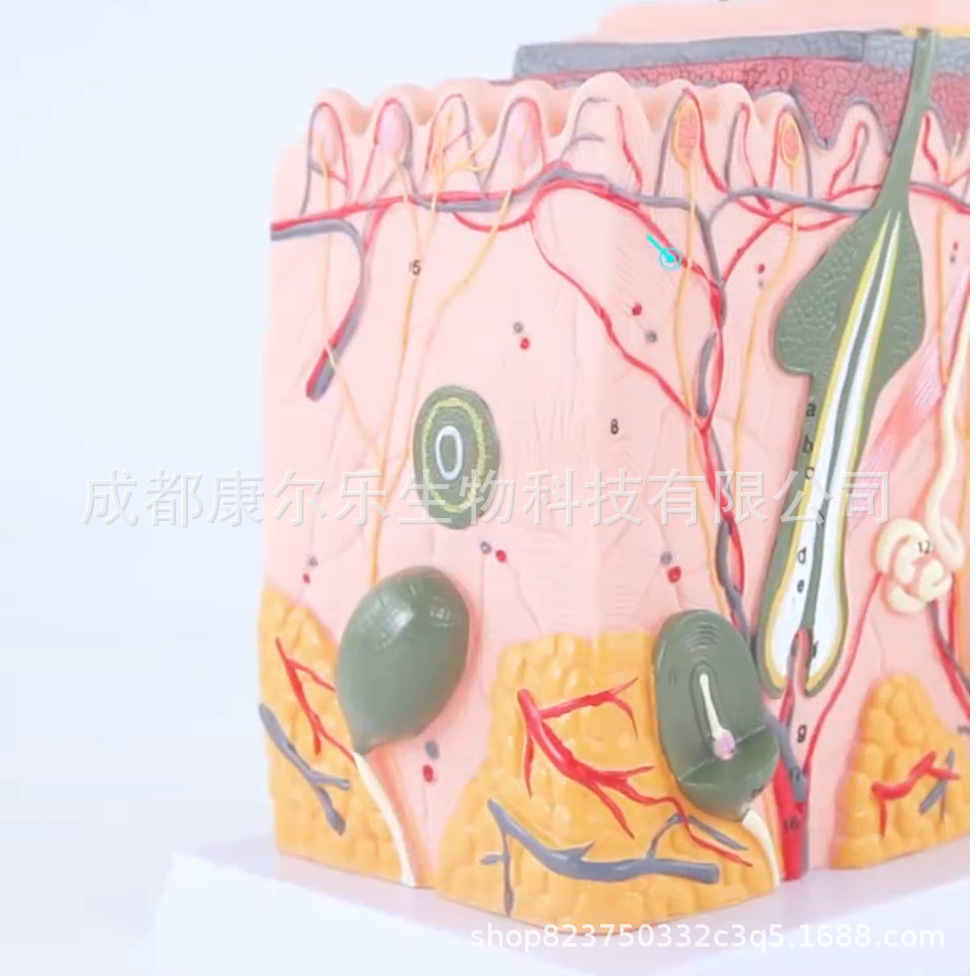 微信图片_20220804162713