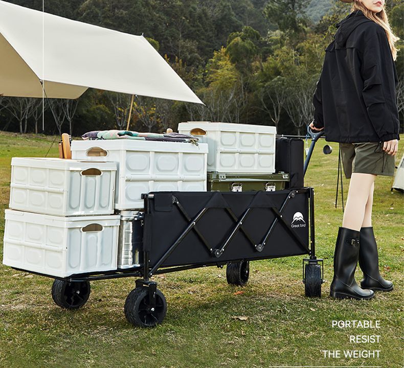 668d84f2-4dbb-44cb-a773-4e54e4bf5471.jpe