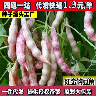 �|���t���h���ǷN�ӷN�ќϱⶹܿ���t�����ļ��S���h�Ͷ���ȫ