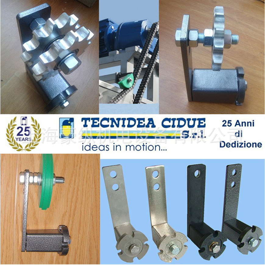 现货供应 意大利泰尼达皮带自动张紧装置  皮带张紧器 RP2