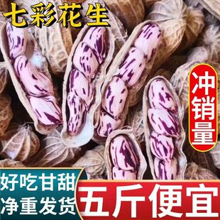 ����خa�߲ʻ���2024��؛����������츻�����rҰ�ػ����׶��N��