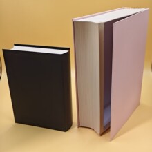 ���ΰ��b�м��ռ{���ͶY��������Ĕz�������涨��ins�L�Y��