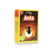 ҵּ National Geographic Kids L1 Ӣİ25