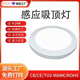 应急指示灯具;LED电源;吸顶灯