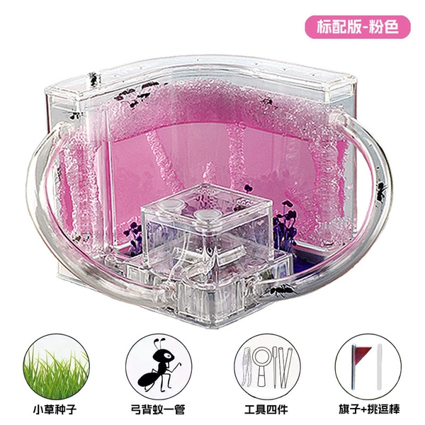Pink gives 30 ants + magnifying glass + seeds