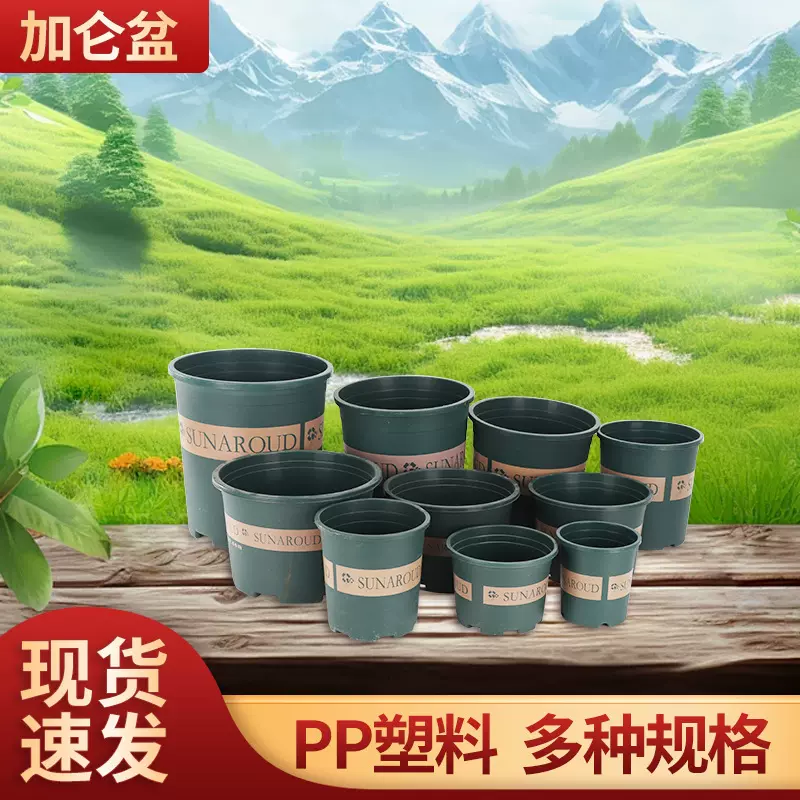 加厚pp塑料花盆阳台绿萝盆栽多肉月季花盆批发大号花盆绿色加仑盆