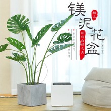 �������V�໨�軨��ͥԺ�̨���ʽˮ�໨�����ֲ�ﻨ�����