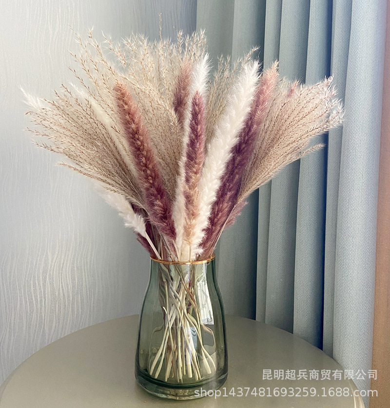 QQ图片20211109134436.jpg