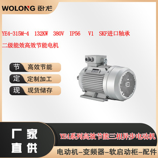YE4-315M-4  132KW  380V  IP56   V1  SKF�M���S�ж�����Ч늙C