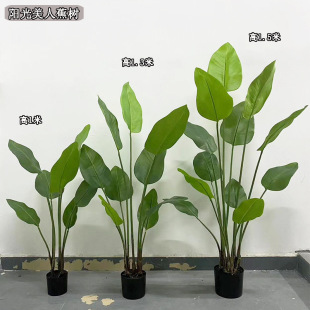 BGֲWСͷֲ ˽ ٘҃ȿ͏db