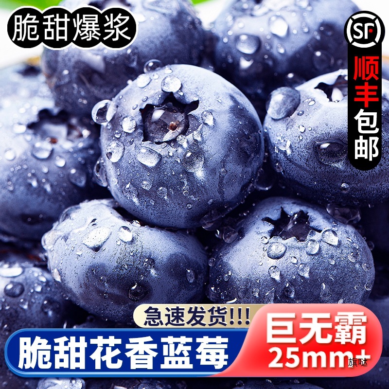 Highland Floral Blueberries Fresh Pregnancy Fruit Floral Blueberries SF Express Not Yunnan Blueberries Fresh Fruit L25 Large Berries