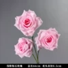 Three generations of 3-head diamond rose (without flower center) light pink