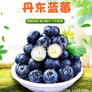 ���|�{ݮ�r�����|��ɽ�{ݮ�����r�{ݮˮ���{ݮ��Ʒ����a�ذ��]