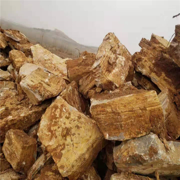 从事大中型假山叠水驳岸设计施工千层石龟纹石批发