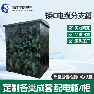 10Kv Cable Branch Box Dfw-12/630A High Voltage 35Kv Tap Box Iron Shell/Stainless Steel Multi-Outdoor Box