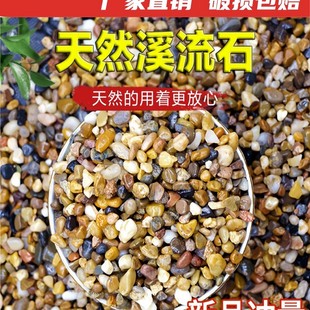 Natural River Sand, Stream Sand, Pebbles, Native Aquarium Fish Tank Water, Succulent Paving, Small Stones, Filter Beans