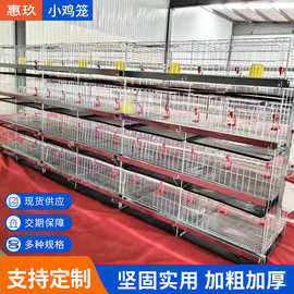 养小鸡笼子笼雏鸡笼苗四层立式笼层叠育雏笼机械自动肉鸡鸡用电动