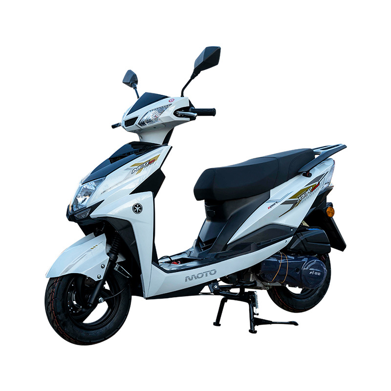 motocicleta transfronteriza de dos ruedas rusa todavía lidera camión de combustible adulto de alta velocidad locomotora de combustible de viajes scooter de combustible