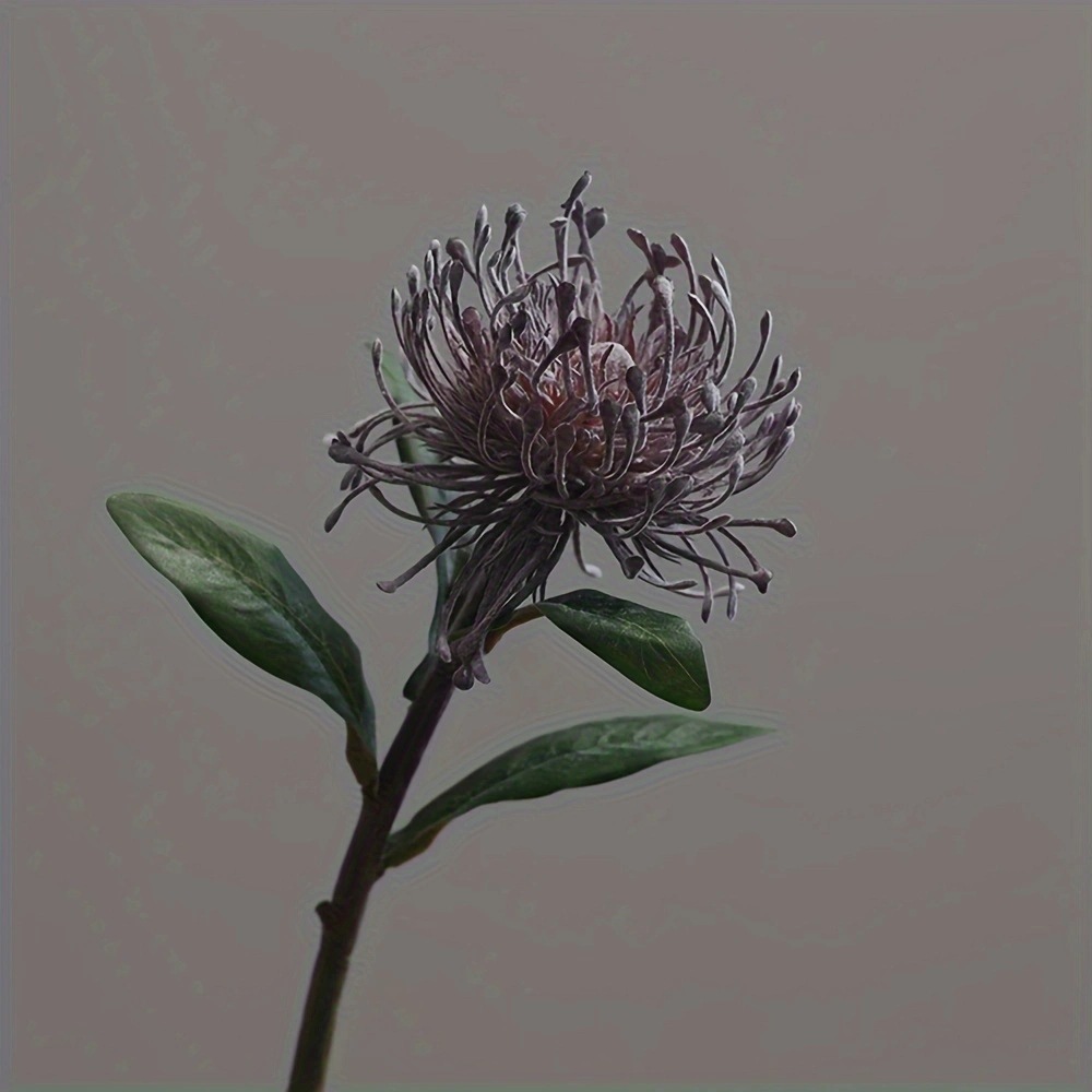 보라색