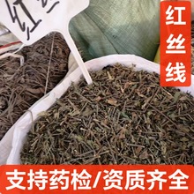 ��ș�� �t�z�� ʮ��� ʮ���ј���șɽ�{�t�{Ұ����t�{�� ��z��