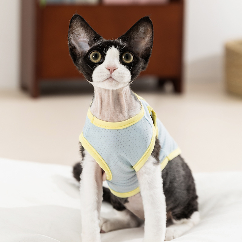 Gatos primavera y verano, enfriamiento y prevención del golpe de calor, arcoíris, ropa fresca, perro, protector solar al aire libre, chaleco para perros, ropa para gatos