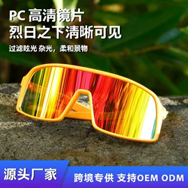 框架眼镜;太阳镜;光学眼镜