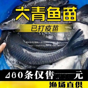 ���~���~�絭ˮ������İ����a�~����·�~���Bֳ�~���~���ͻ��w