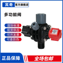 ProMinent配件普罗名特多功能阀1086777泵出口逆止阀 防虹吸阀